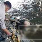 Seorang pria ditemukan meninggal dunia dalam kondisi terapung di bawah Jembatan Baru Sungai Kartini di Jalan Pramuka Kelurahan Lamokato, Kecamatan Kolaka, Kabupaten Kolaka, Senin (10/12/2018) sekitar pukul 09.00 wita. (Foto:Ist)