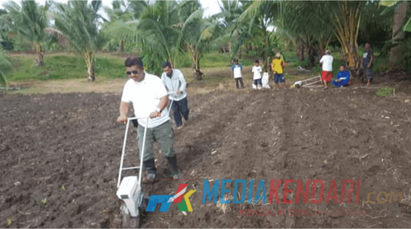 Cek Lahan Pertanian, Distan Butur Uji Coba Manual Rice Planter