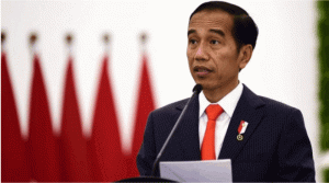 Bakal ke Sultra, Ini Tiga Agenda Utama Jokowi