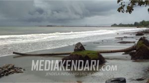 Abrasi Pantai Ancam Desa Puudonggala Utama di Konut
