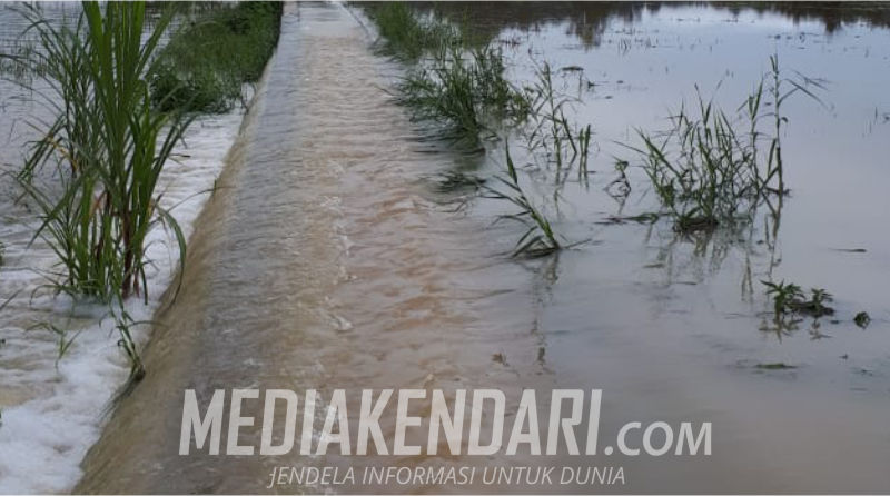 Banjir Terjang Sawah di Matanggonawe Konut, Saluran Irigasi Ikut Rusak Parah