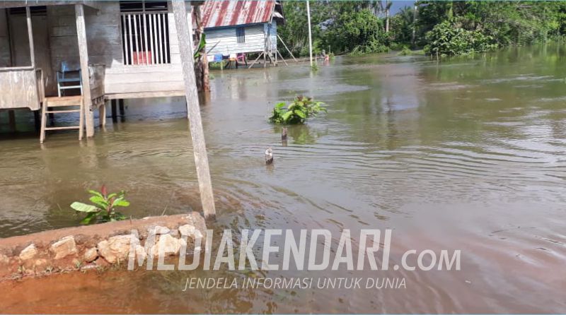 39 Hektare Lahan Pertanian di Landawe Konut Terendam Banjir