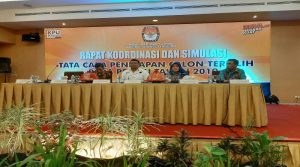 KPU Sultra Hanya Akan Umumkan Hasil Pemilu 2019 Untuk Delapan Daerah, Ini Alasannya