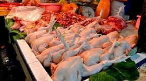 Jelang Hari Raya Idul Adha, Harga Ayam di Pasar Tadoha Mapaccing Tetap Stabil