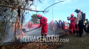Kepala Balai: 17 Ribu Hektar TNRAW Berstatus Rawan Terbakar