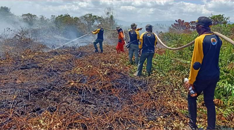 Tim BKSDA Sultra Lakukan Pemadaman Kebakaran Hutan Rawa Gambut di Koltim