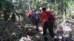 Warga Paruh Baya Hilang di Hutan, Tim SAR Gabungan Terus Lakukan Pencarian