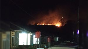 Kebakaran Lahan Sekitar BTN Boulevard Regency Ancam Keselamatan Warga, Pemkot Kendari Diminta Ambil Tindakan