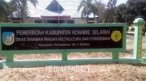 Perusahaan Perkebunan di Konsel Wajib Buat Kebun Plasma