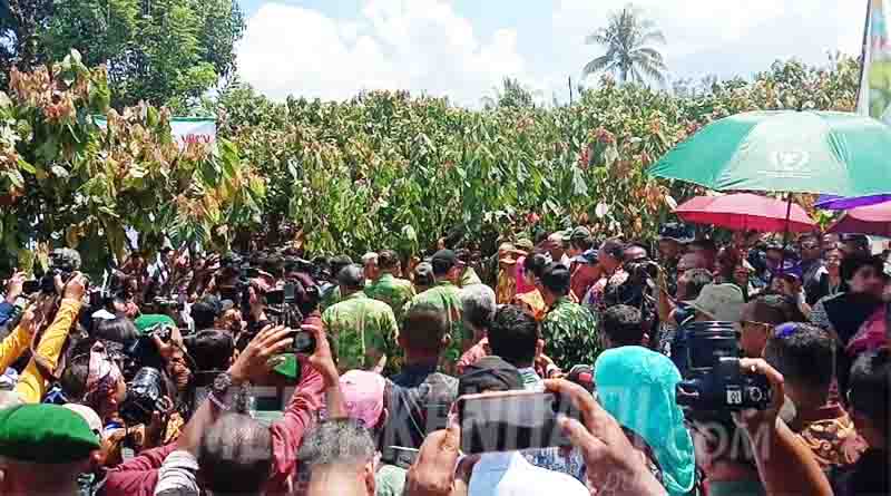 Gubernur Sultra Bersama Menteri Pertanian Panen Kakao di Desa Puudambu