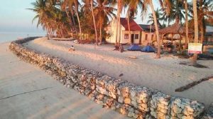 Proyek Talud di Pulau Runduma Wakatobi Ancam Habitat Penyu