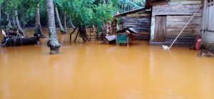 55 Rumah di Desa Sulaho Kolaka Utara Terendam Banjir