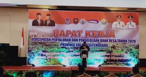 Gubernur Sultra Harap Pengelolaan Dana Desa 2020 Maksimal