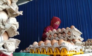 Harga Telur di Kota Kendari Mulai Meroket