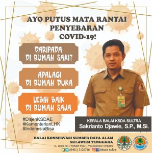 BKSDA Sultra Perpanjang Penutupan Tiga Objek Wisata, Ini Daftarnya