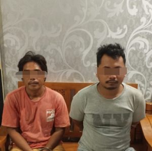 Dua Maling Sapi di Butur Dibekuk di Baubau