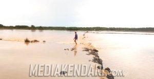 Belum Usai Dihantam Corona, Petambak di Bombana Kini Terancam Gagal Panen