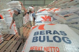 Punya Stok 5 Ribu Ton, Bulog Sultra Pastikan Kebutuhan Beras Aman