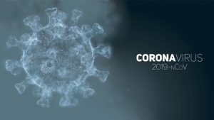 Bertambah Lagi Warga Sultra Positif Corona, Kini 15