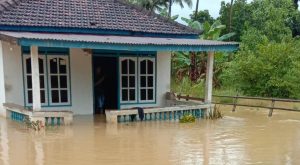 Diguyur Hujan Semalaman, Puluhan Rumah Warga di Bombana Terendam Banjir