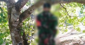 Anggota TNI di Kabaena Ditemukan Tewas Tergantung di Pohon Jambu