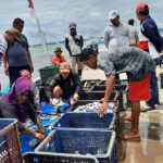 Nelayan Libur Melaut Akibat Gelombang Tinggi, Stok Ikan di TPI Kendari Menurun