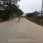 Warga Konawe Selatan Kompak Tanam Pohon Pisang di Jalan Provinsi