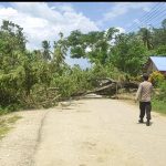 Warga Tinanggea Blokade Jalan dengan Tumbangkan Pohon