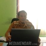 Jumlah Sapi Keguguran Akibat Brucella di Bombana Terus Menurun