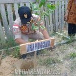 Mahasiswa Lakukan Penghijauan di Puncak Punggaloba