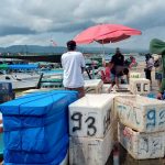 Harga Ikan Di Kota Kendari Melonjak, Nelayan: Pengaruh Faktor Cuaca