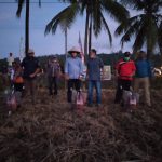 Tingkatkan Produktifitas Lahan, Pemkot Baubau Tanami Kedelai