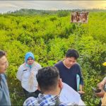 Pemprov Sultra Bangun Balai Latihan Kerja di Baubau