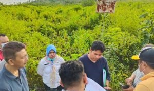 Pemprov Sultra Bangun Balai Latihan Kerja di Baubau