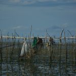 Kembangkan Blue Economy, Warga Desa Wabula Berlakukan Sistem Adat Jaga Ekosistem Laut