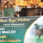 Gubernur Sultra Bagikan 65 Ekor Sapi Qurban di 17 Kabupaten/Kota