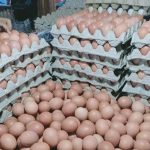 Harga Telur Naik, Disdakap UMKM: Pasokan Telur Turun Lebih dari 50 Persen