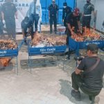 Rugikan Negara, Bea Cukai Kendari Musnahkan Ratusan Ribu Batang Rokok dan Alkohol Ilegal