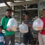 Tingkatkan Ekonomi Masyarakat, UMK Bekali Ilmu Budidaya Ikan Kepada UMKM di Desa Cialam Jaya Konsel