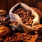 Sultra Hasilkan Kakao Lokal Sebanyak 2-4 Ton Pertahun