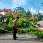 Masyarakat dan Bhabinkamtibmas Polsek Kokalokuna Bersihkan Pohon Tumbang yang Halangi Jalan