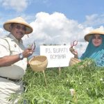 Pj Bupati Bombana Galakkan Tanam Sayur dan Buah di Lahan Kosong