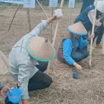 Canangkan Penangkaran Bibit Sorgum, HIPTI dan Ana Wonua Pertanian Siap Pasarkan Hasil Petani di Sultra