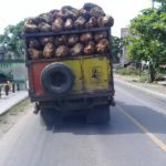 Masyarakat Tualang Keluhkan Truk Sawit Tanpa Jaring Pengaman