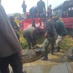 Empat Buaya Ditangkap Warga Dilepasliarkan di Taman Rawa Aopa