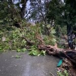 Ratusan Rumah Rusak Akibat Hujan dan Angin Kencang yang Landa Kota Kendari