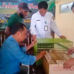 BKSDA Sultra Gagalkan Pengiriman Burung Endemik Wakatobi di Pelabuhan Kapal Malam