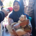 Kontes Cat Show, Kucing Dapatkan Vaksin Rabies dan Pemberian Obat Cacing