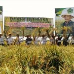 KSK Sukses Bangun Sektor Pertanian Konawe