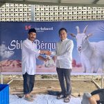 Swissbel Hotel Kendari Berqurban Tiga Ekor Sapi untuk Idul Adha 1444 Hijriah